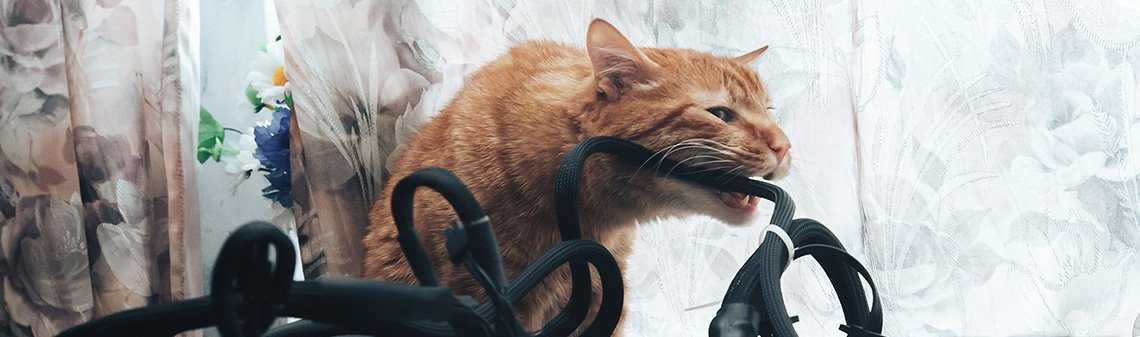 Thumbnail of an article about SDN Security: Five reasons SDN is more secure than legacy networks