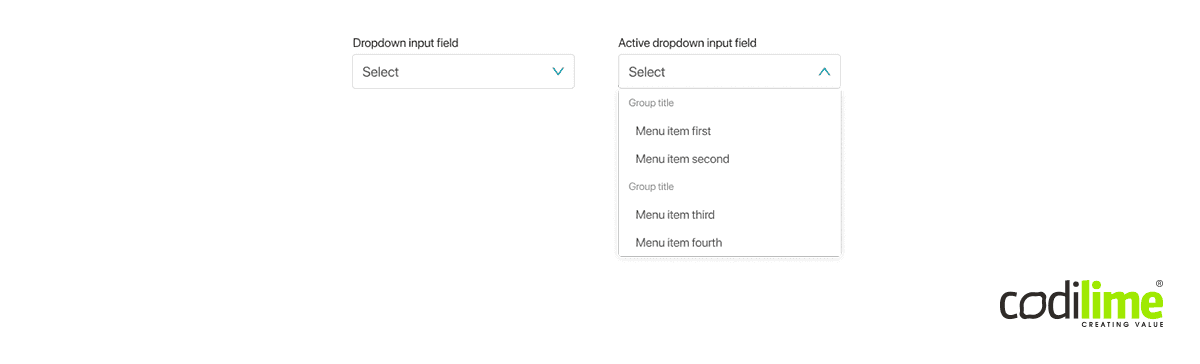 Input field with a dropdown list Input field with a dropdown list