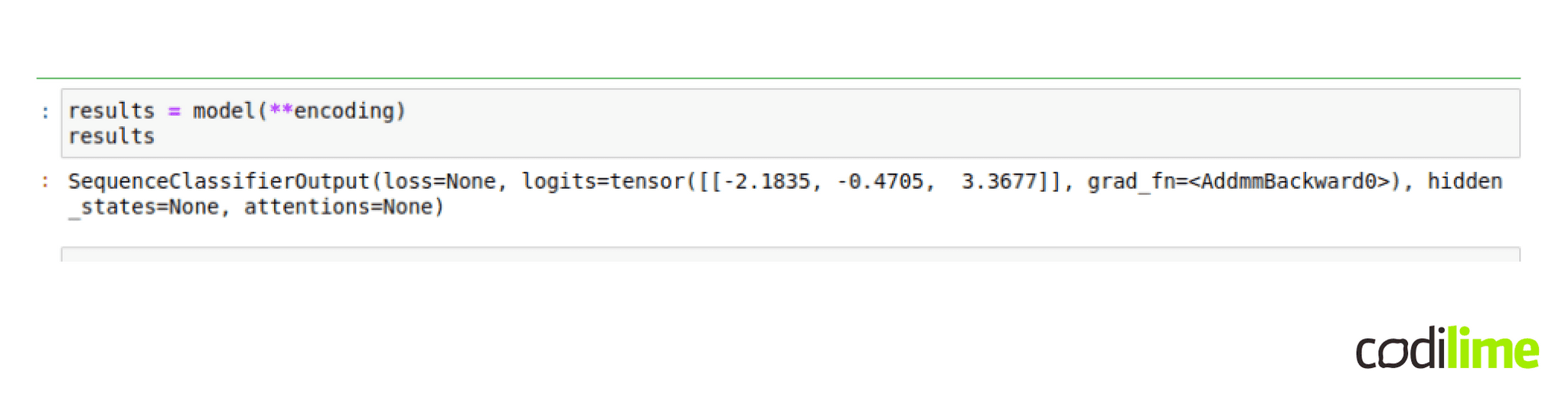 Encoded text applied to a model
