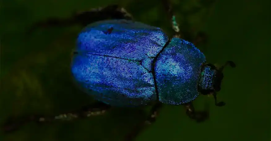 Thumbnail of an article about Software testing best practices for 2020 and beyond