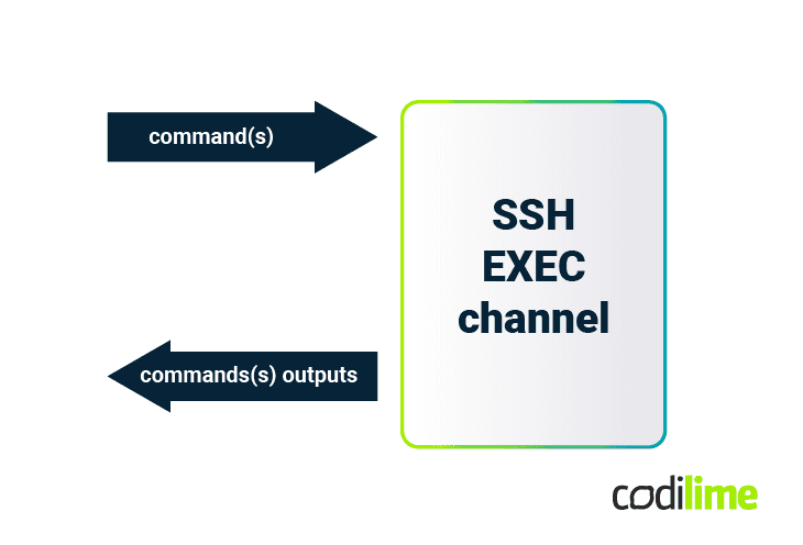 The SSH EXEC channel behavior The SSH EXEC channel behavior