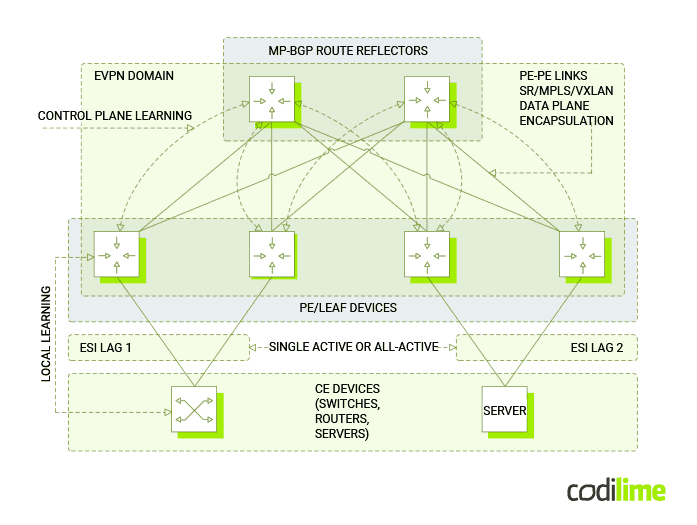 The key EVPN concepts The key EVPN concepts