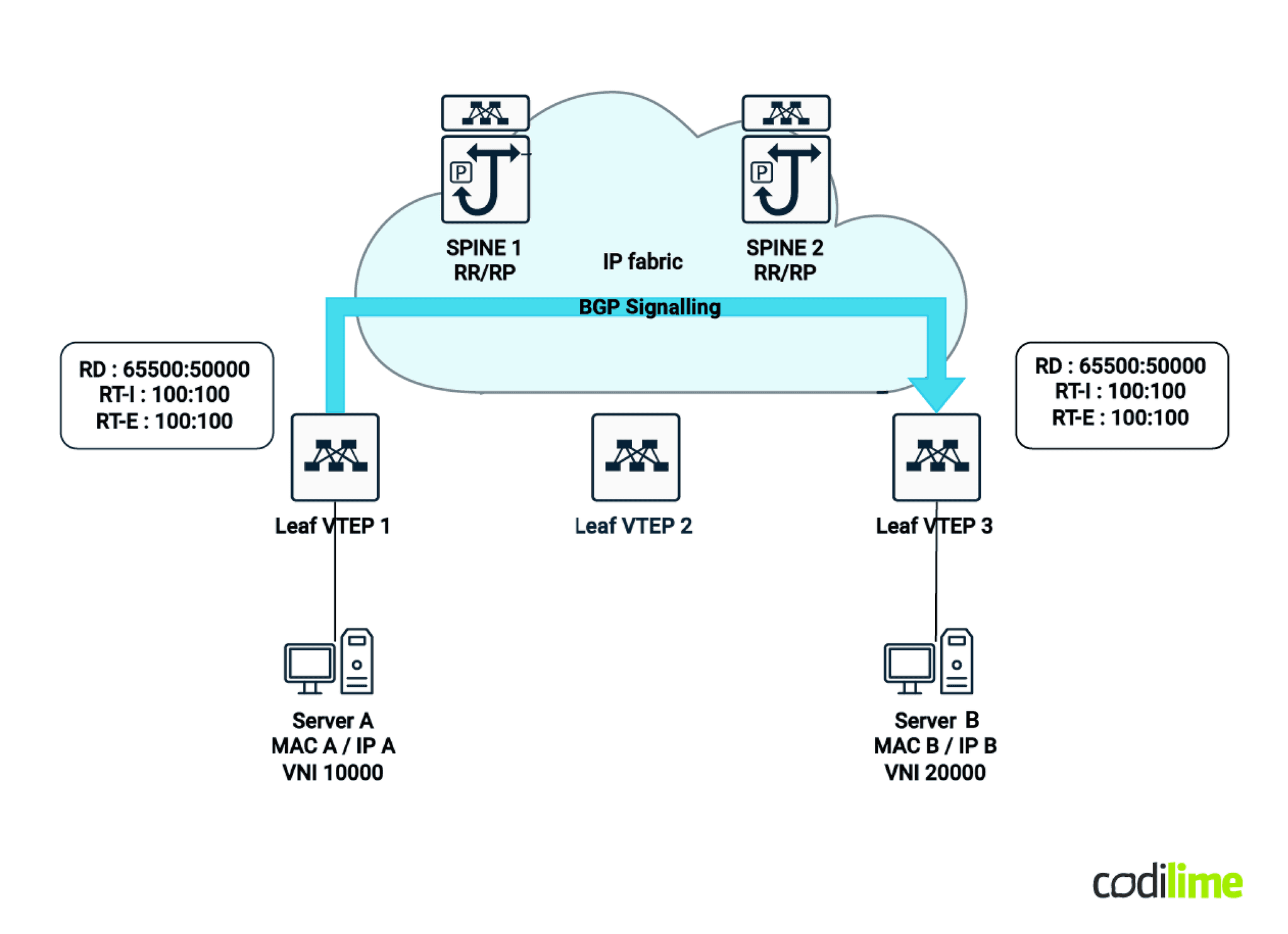 Multitenancy support in IP Fabric Multitenancy support in IP Fabric